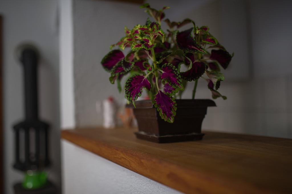 Apartment Raza Konjic Luaran gambar